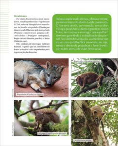 página 17 da Revista Barueri e a Mata Atlântica